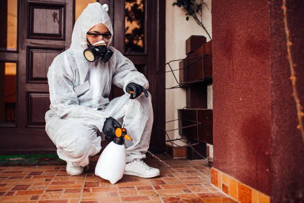 Reliable Wasp Removal contractor in Bridgeport, TX by Show Me Pest Control